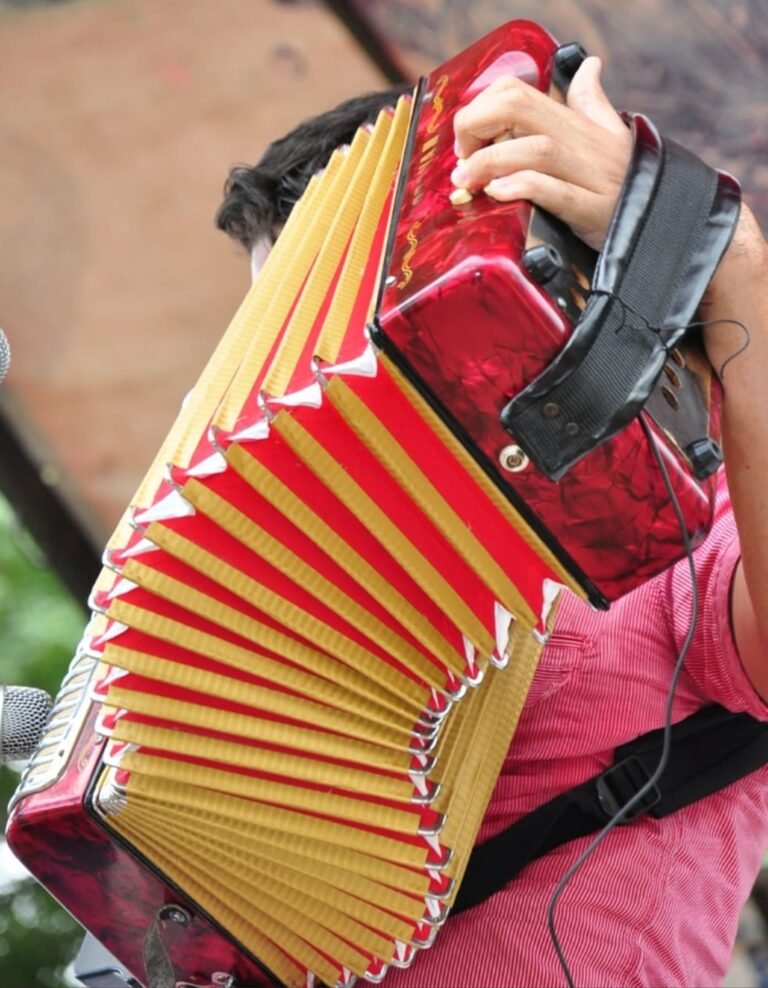 El acordeón es el marcante de la pauta en la música vallenata