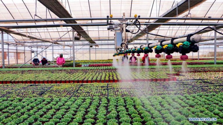 Riego de plantas en macetas dentro de un moderno parque demostrativo de la industria agrícola
