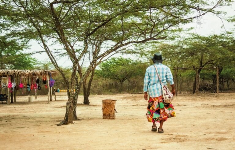 Corte Constitucional inició incidente de desacato por cumplimiento para que se supere Estado de Cosas Institucionales en la niñez indígena wayuu