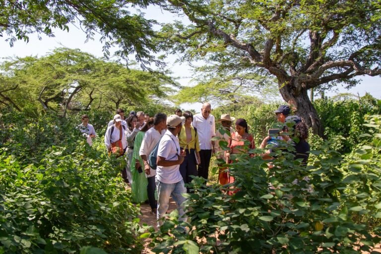 Sector Ambiente avanza en acciones contundentes para el cumplimiento del decreto de emergencia de La Guajira