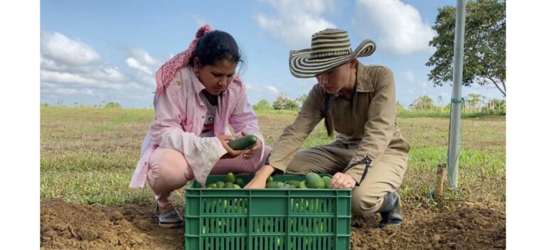 MinAgricultura y Ecopetrol han apoyado más de 400 proyectos a través de El Campo Emprende