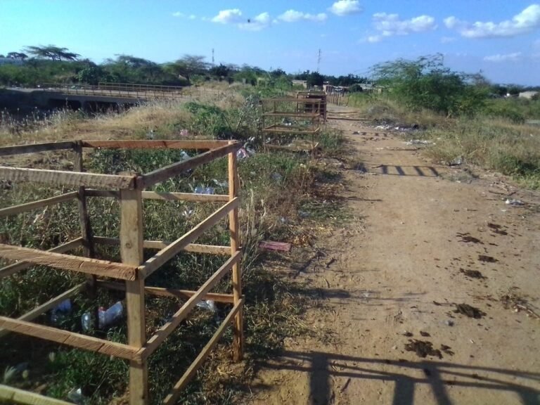 Corpoguajira denuncia y rechaza robo de jaulas protectoras de árboles en proyecto que adelanta en Uribia