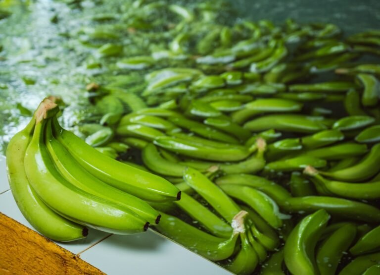 Bananeros de La Guajira hacen un llamado al gobierno nacional por crítica situación de seguridad