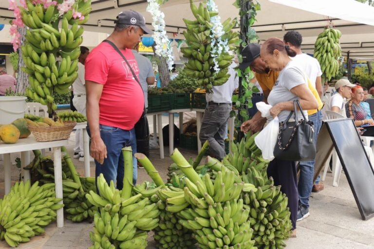 En Riohacha se realizó la última Feria Campesina y de Negocios Verdes del año 2023: 80 productores beneficiados