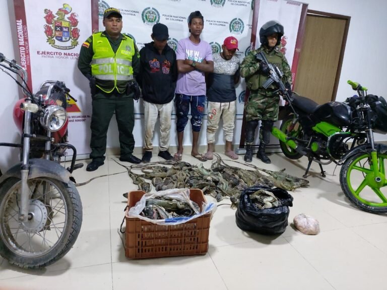Grupo Rondón incautó 60 iguanas en Conejo, corregimiento de Fonseca