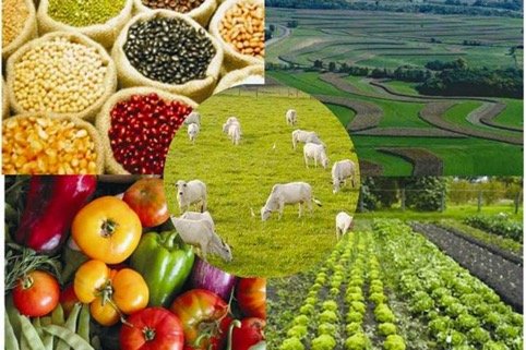 El crédito agropecuario