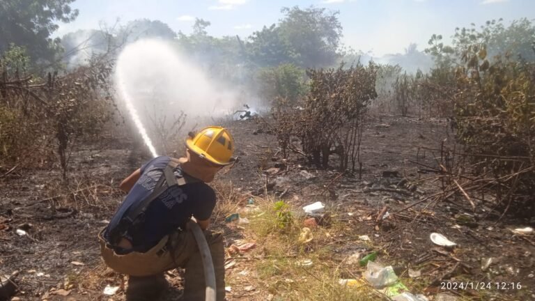 incendio forestal provocado en Riohacha