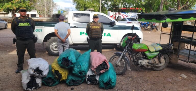 Decomisan carbón vegetal sin documentar valorado en 3 millones de pesos