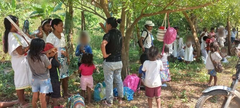 familias wiwa desplazadas