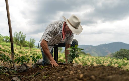 Nuestros Campesinos la ciencia del campo, esencia en la mesa