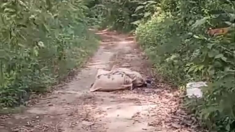 Descubrimiento macabro en Dibulla: Dos cuerpos encostalados hallados en zona rural