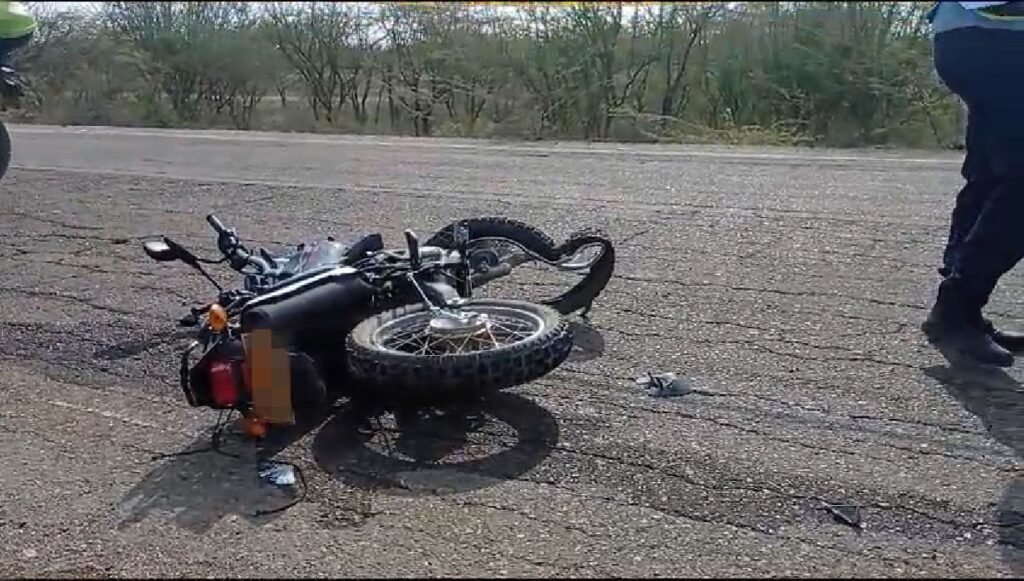 muertes por accidentes de tráfico