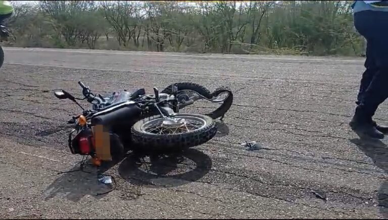 muertes por accidentes de tráfico