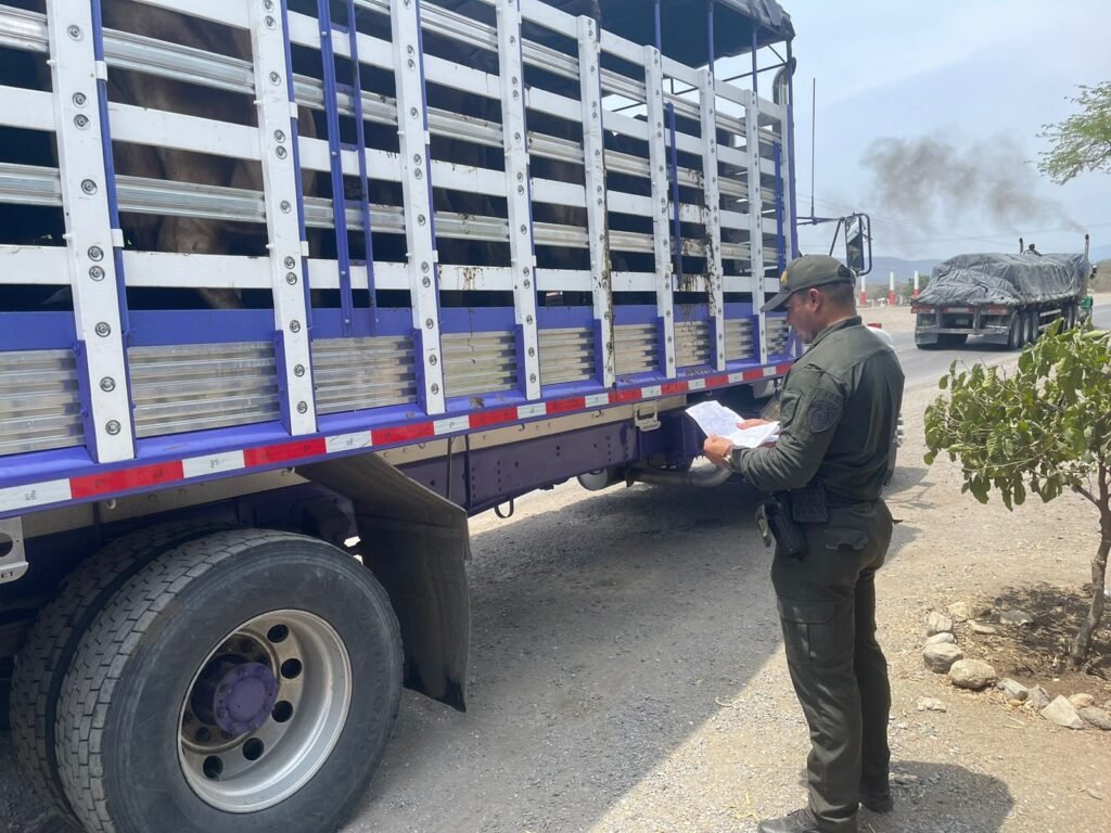 Polfa realizó operativos de verificación de transporte de ganado bovino y equino en La Guajira