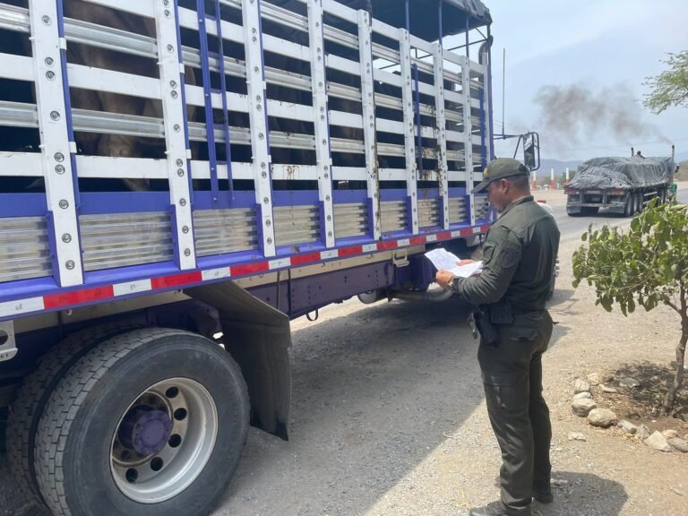 Polfa realizó operativos de verificación de transporte de ganado bovino y equino en La Guajira