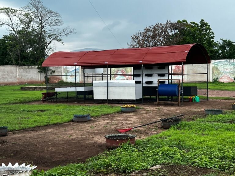 Corpoguajira entregó Eco-Vivero en la Institución Educativa Silvestre Dangond Daza, en Villanueva