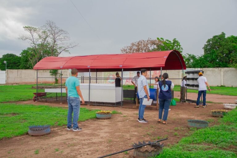 eco-viveros