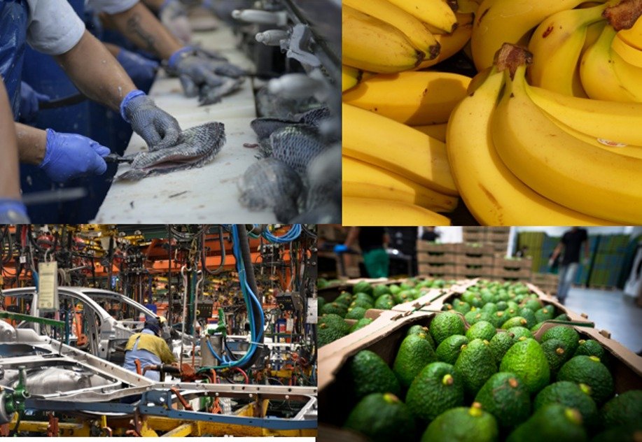 Hasta mayo, las exportaciones de bienes no mineros a Bélgica, Italia y China crecieron más de 40 %