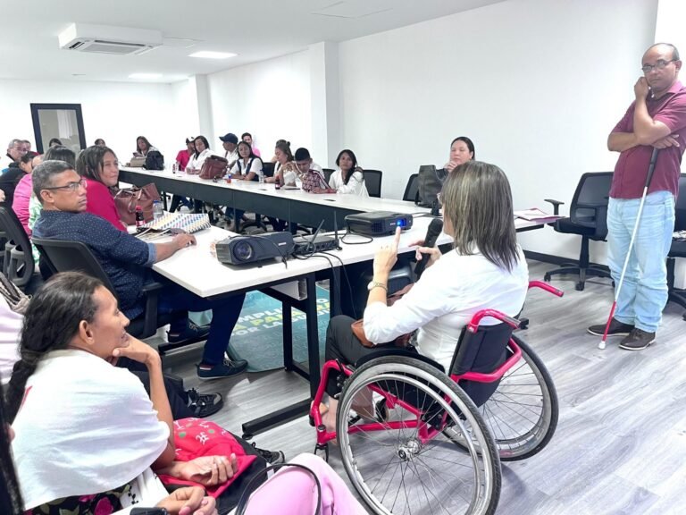 Fue aprobado el Reglamento Interno del Comité de Discapacidad del departamento en su vigencia 2024