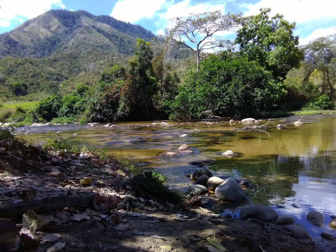 DRMI Caracolí Sabanas de Manuela, nueva área  protegida regional declarada por Corpoguajira