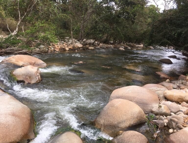DRMI Caracolí Sabanas de Manuela, nueva área  protegida regional declarada por Corpoguajira