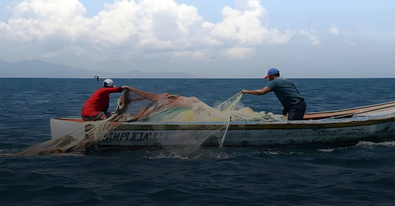 El pasaporte de los pescados