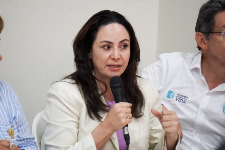 La directora del DANE, Piedad Urdinola, presentó en el MESEPP los avances del Comité de Información coordinado por la entidad, el Sistema Wayúu y el Registro Wayúu.