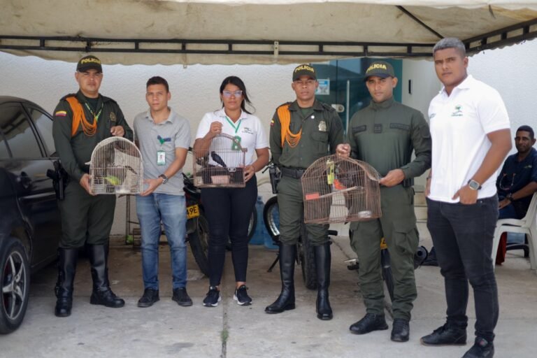 Corpoguajira realizó incautación de aves en Riohacha: un llamado a la conciencia ambiental