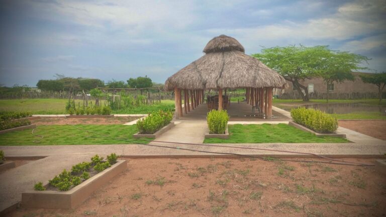 ICBF pone en funcionamiento primer hogar sustituto étnico en La Guajira para proteger a la niñez wayuu