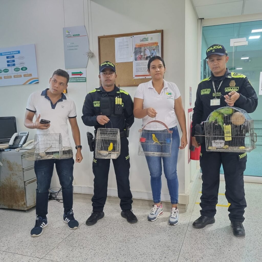Corpoguajira y Policía Nacional decomisan aves en cautiverio