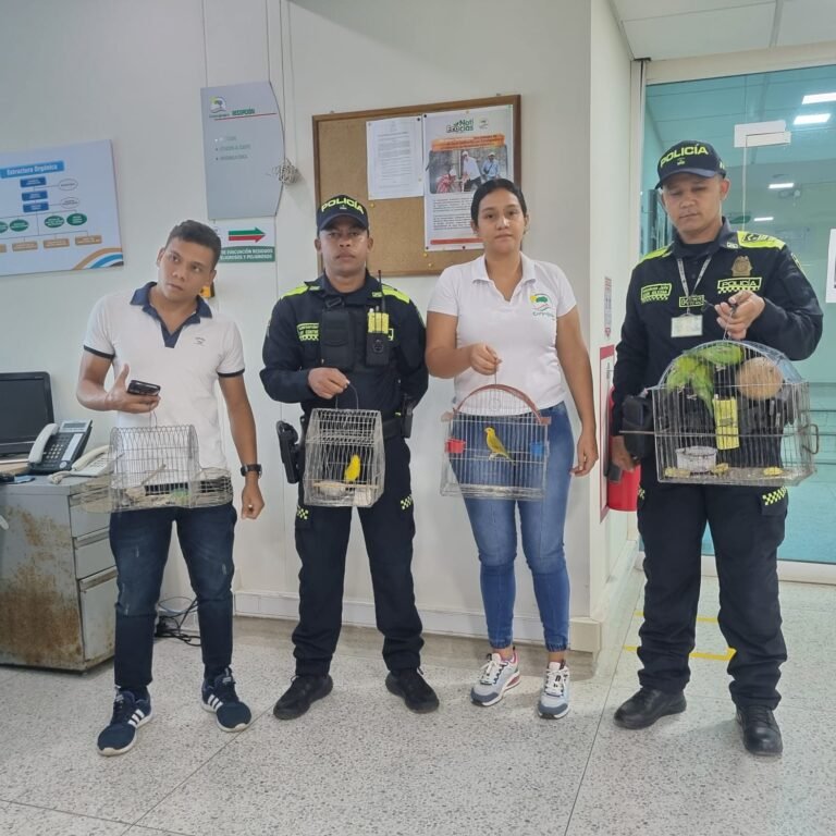 Corpoguajira y Policía Nacional decomisan aves en cautiverio