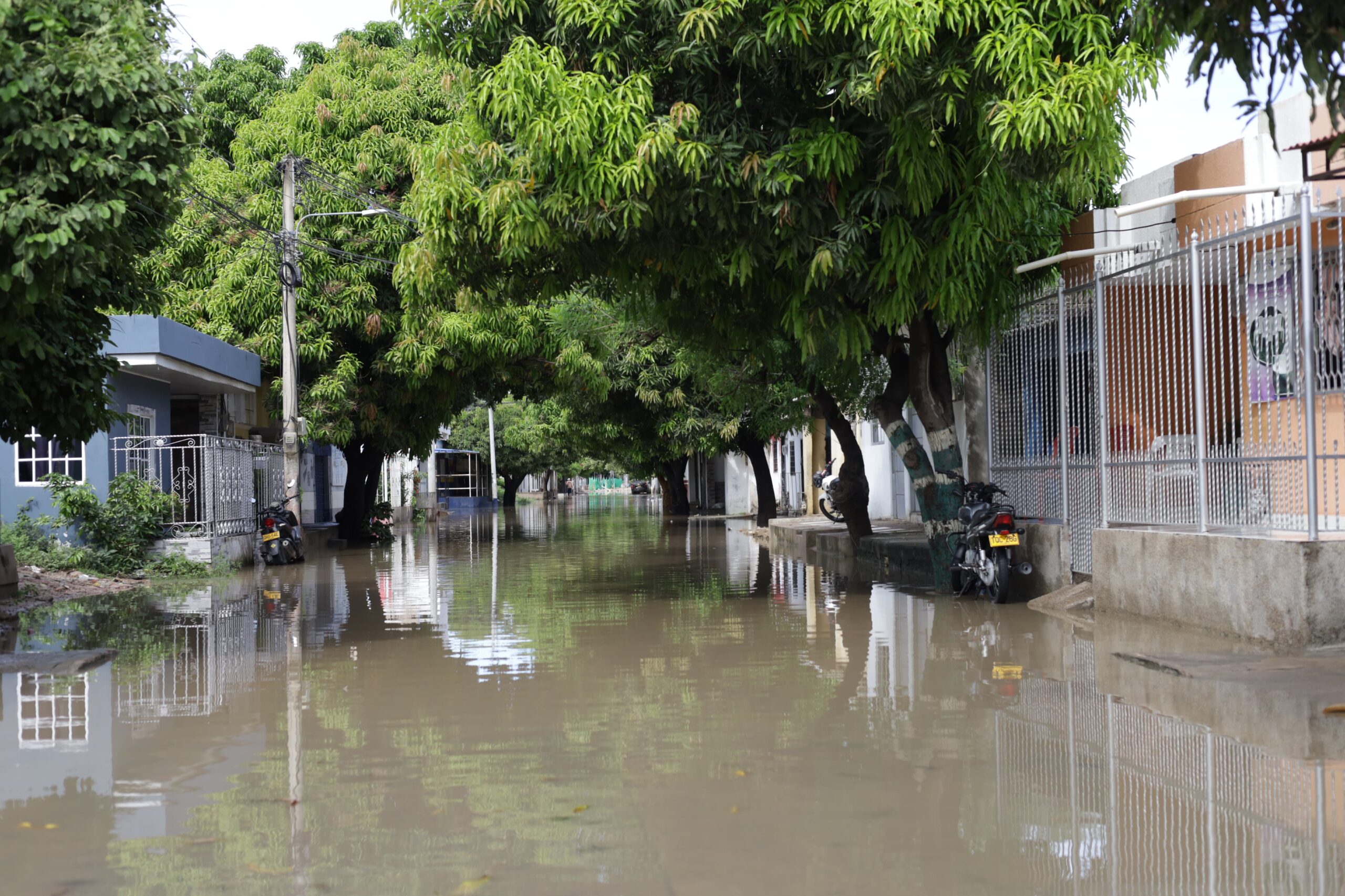 La ciudad en ruinas y el silencio es cómplice. "El que calla otorga"