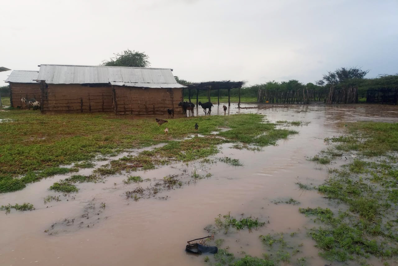 ONG llama a los colombianos a ayudar a más tres mil familias afectadas por la ola invernal en La Guajira