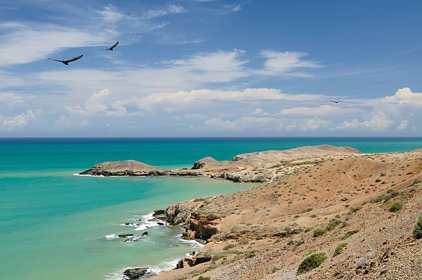Recursos en abundancia, vidas en pobreza: La paradoja de La Guajira