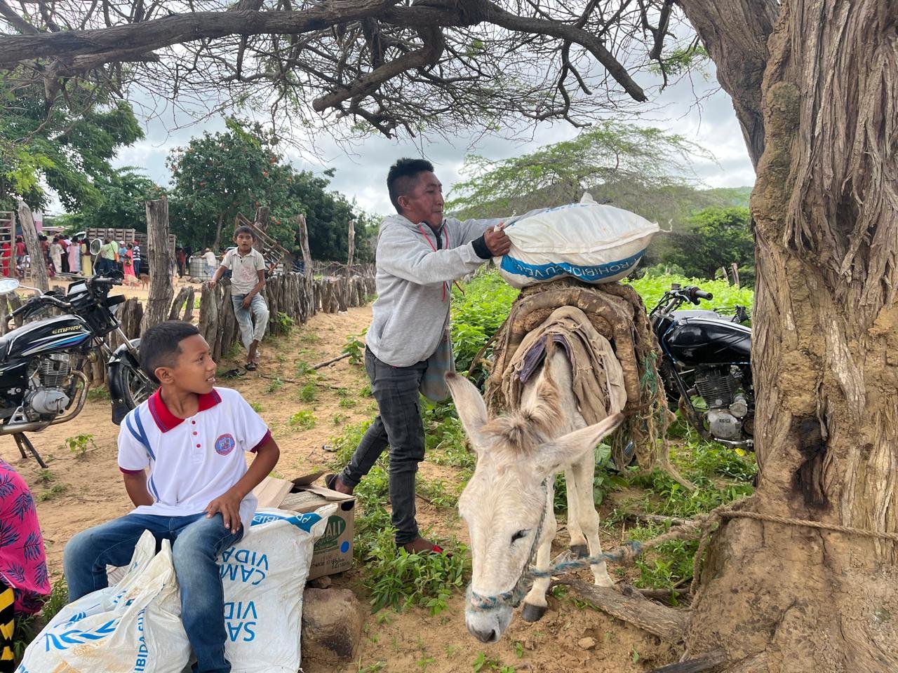 Misión  Humanitaria Akalii>ja: 270 toneladas de alimentos se entregaron a las comunidades de la Alta Guajira