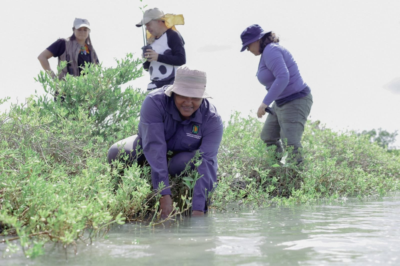 Corpoguajira entregó importantes resultados en su gestión ambiental y otros logros durante el año 2024