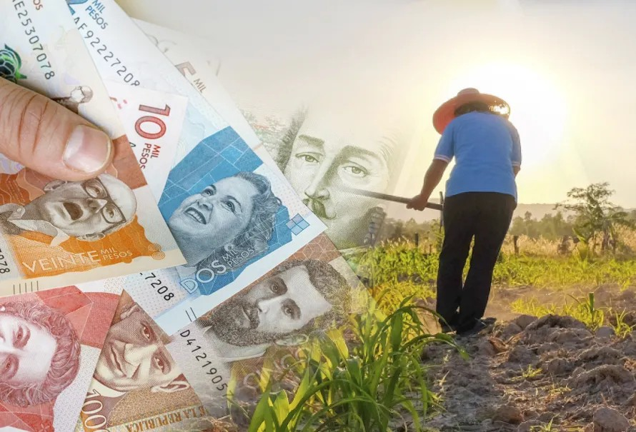 S.O.S por el crédito agropecuario