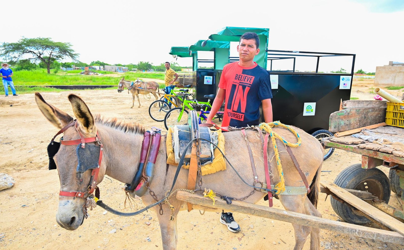 Los animales que impulsaban los vehículos eran sometidos a largas horas de trabajo afectado su bienestar 