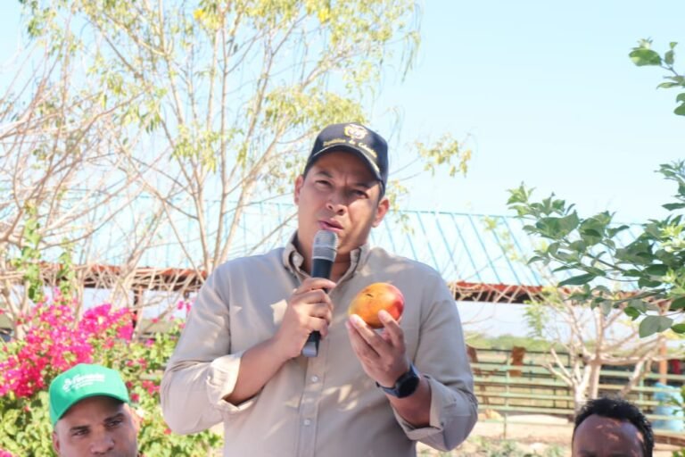 Barrancas se consolida como líder en agricultura sostenida con el proyecto de sistemas agroforestales de mango manzano