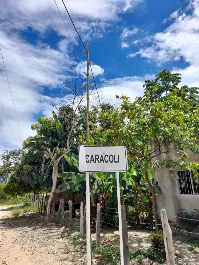 Caracolí Sabanas de Manuela, puro y arraigado