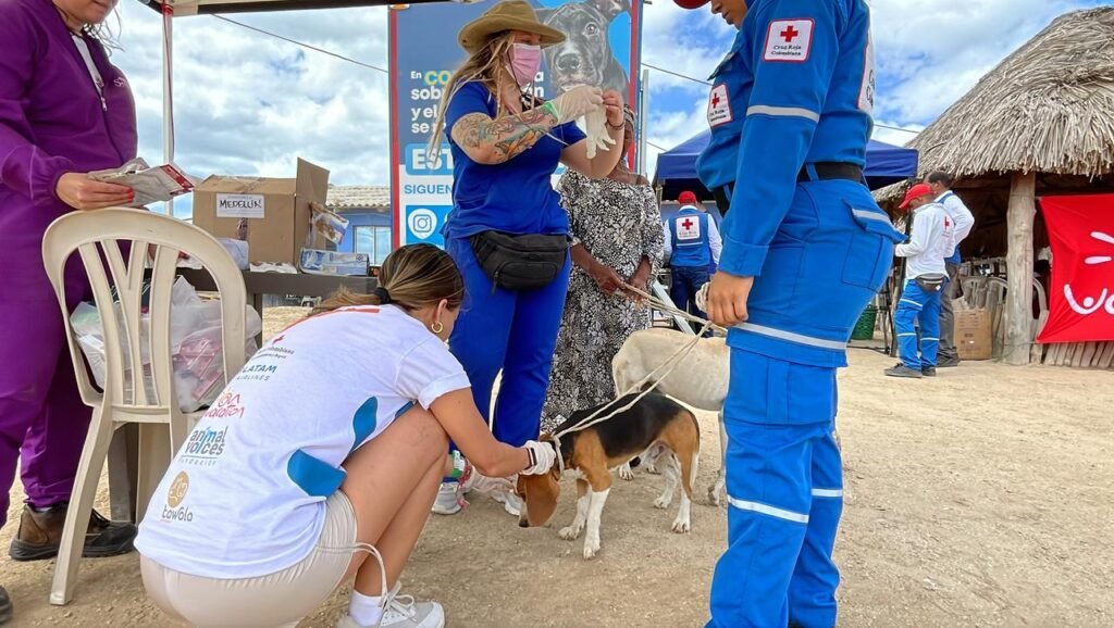 Cruz Roja de Bogotá lideró iniciativa ‘Red Solidaria por La Guajira’