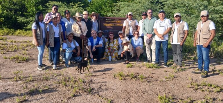 Los mangles de La Guajira para su conservación y mejora: la nueva apuesta del Gobernador Jairo Aguilar