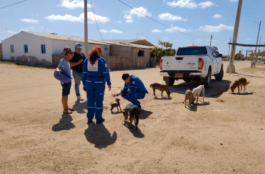 Cruz Roja de Bogotá lideró iniciativa ‘Red Solidaria por La Guajira’