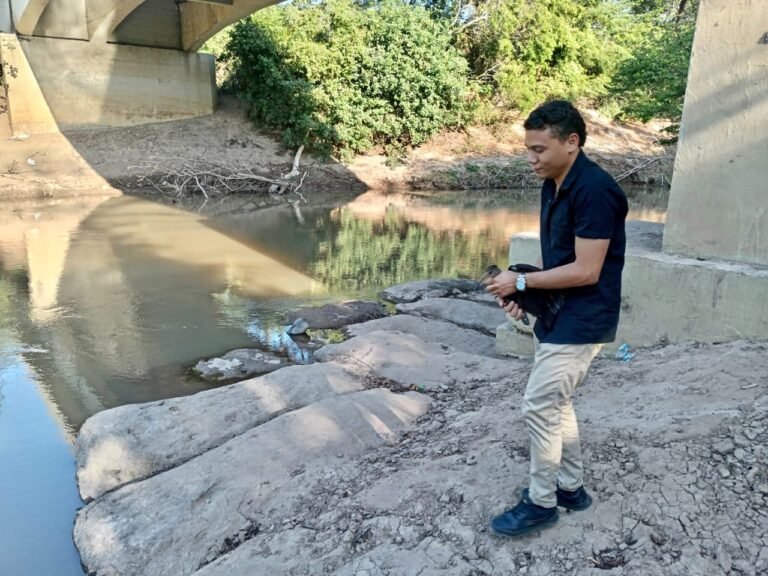 Corpoguajira logró rescate y liberación de dos especies en vía de extinción