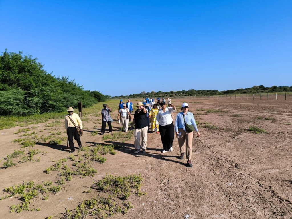 Los mangles de La Guajira para su conservación y mejora: la nueva apuesta del Gobernador Jairo Aguilar