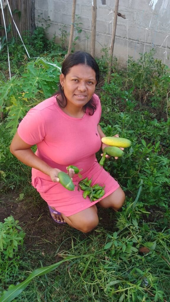 La sra Tatiana Isabel Zarate, cosechando Aji y Pepinos a través del proyecto Huertas caseras sostenibles en Cañaverales Municipio de San Juan del Cesar Guajira