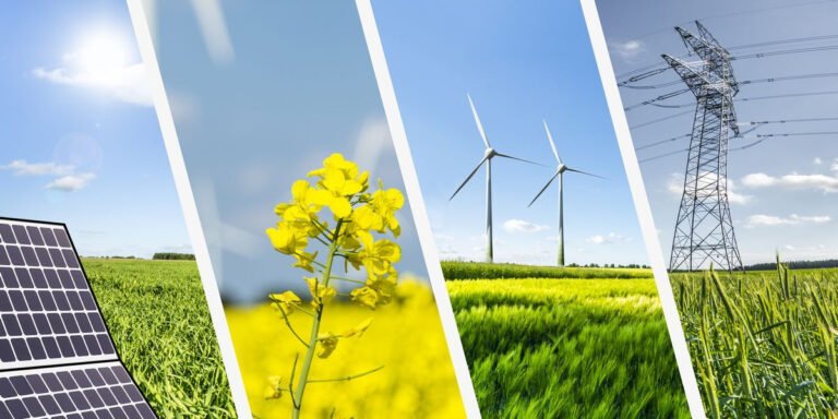 ¡El día mundial de la energía!
