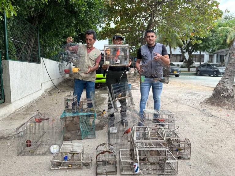 Policía Nacional y Corpoguajira incautaron 19 aves que estaban en cautiverio