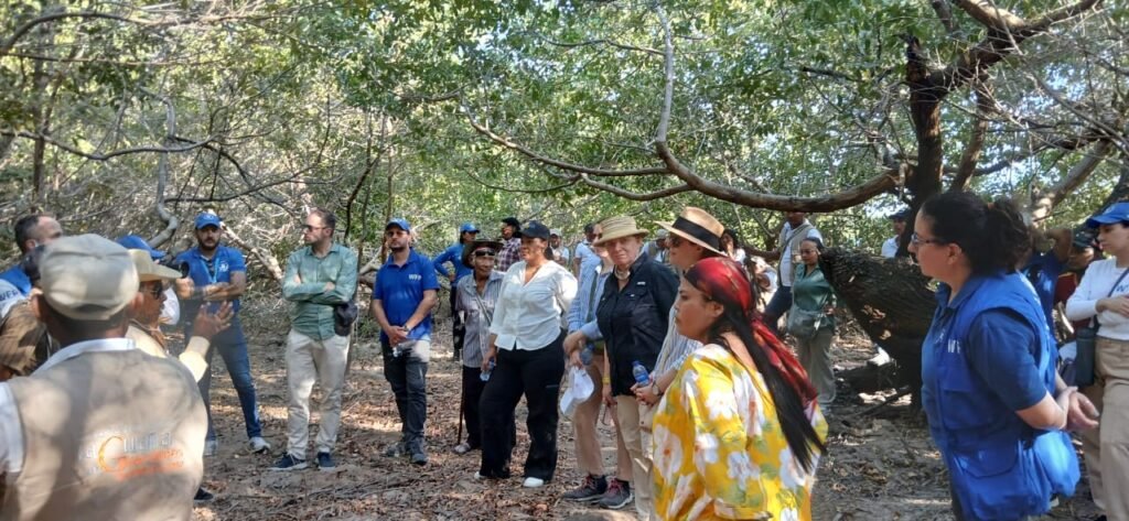 Los mangles de La Guajira para su conservación y mejora: la nueva apuesta del Gobernador Jairo Aguilar