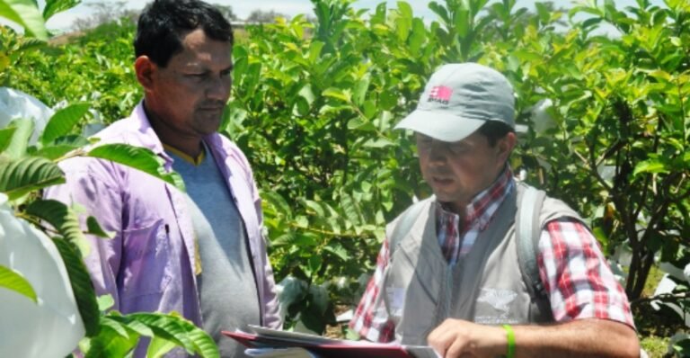 Una banca digital para el agro